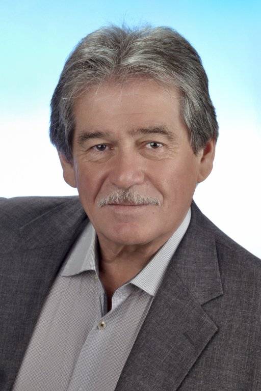 Große Darstellung des Bildes